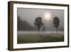 Two Trees & Sunburst, Logan, Ohio ‘10-Monte Nagler-Framed Photographic Print