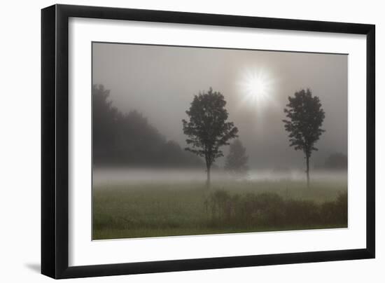 Two Trees & Sunburst, Logan, Ohio ‘10-Monte Nagler-Framed Photographic Print