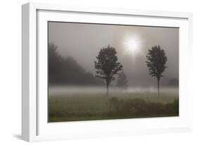 Two Trees & Sunburst, Logan, Ohio ‘10-Monte Nagler-Framed Photographic Print