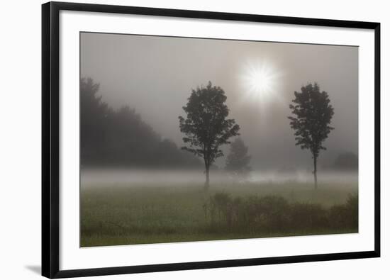 Two Trees & Sunburst, Logan, Ohio ‘10-Monte Nagler-Framed Photographic Print