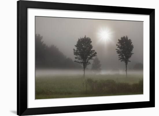 Two Trees & Sunburst, Logan, Ohio ‘10-Monte Nagler-Framed Photographic Print