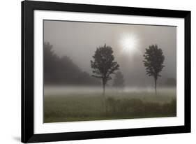 Two Trees & Sunburst, Logan, Ohio ‘10-Monte Nagler-Framed Photographic Print