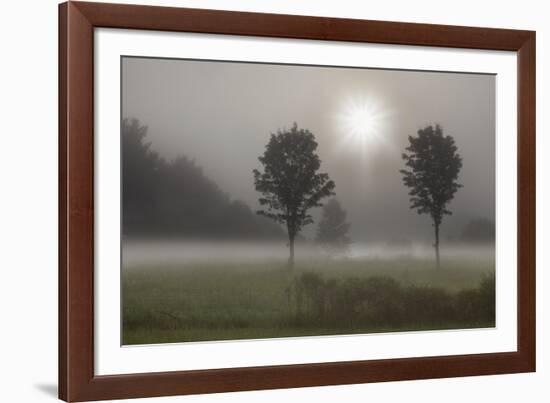 Two Trees & Sunburst, Logan, Ohio ‘10-Monte Nagler-Framed Photographic Print