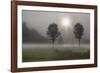 Two Trees & Sunburst, Logan, Ohio ‘10-Monte Nagler-Framed Photographic Print