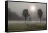 Two Trees & Sunburst, Logan, Ohio ‘10-Monte Nagler-Framed Stretched Canvas