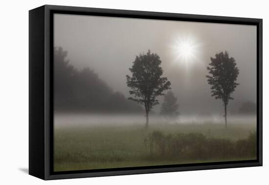 Two Trees & Sunburst, Logan, Ohio ‘10-Monte Nagler-Framed Stretched Canvas