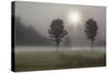 Two Trees & Sunburst, Logan, Ohio ‘10-Monte Nagler-Stretched Canvas