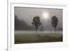 Two Trees & Sunburst, Logan, Ohio ‘10-Monte Nagler-Framed Photographic Print