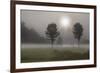 Two Trees & Sunburst, Logan, Ohio ‘10-Monte Nagler-Framed Photographic Print