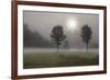 Two Trees & Sunburst, Logan, Ohio ‘10-Monte Nagler-Framed Photographic Print