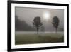 Two Trees & Sunburst, Logan, Ohio ‘10-Monte Nagler-Framed Photographic Print