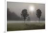 Two Trees & Sunburst, Logan, Ohio ‘10-Monte Nagler-Framed Photographic Print