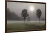 Two Trees & Sunburst, Logan, Ohio ‘10-Monte Nagler-Framed Photographic Print