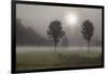 Two Trees & Sunburst, Logan, Ohio ‘10-Monte Nagler-Framed Photographic Print