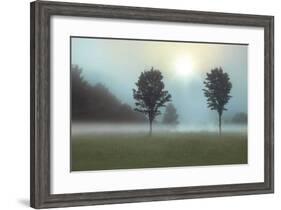 Two Trees & Sunburst-Monte Nagler-Framed Giclee Print