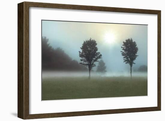 Two Trees & Sunburst-Monte Nagler-Framed Giclee Print