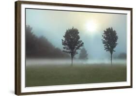 Two Trees & Sunburst-Monte Nagler-Framed Giclee Print