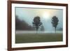 Two Trees & Sunburst-Monte Nagler-Framed Giclee Print