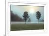 Two Trees & Sunburst-Monte Nagler-Framed Giclee Print