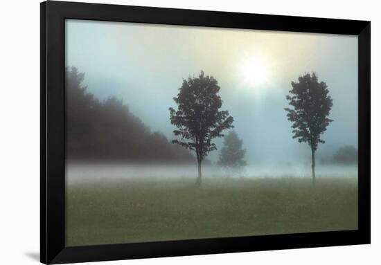 Two Trees & Sunburst-Monte Nagler-Framed Giclee Print