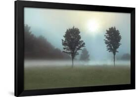 Two Trees & Sunburst-Monte Nagler-Framed Giclee Print