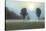 Two Trees & Sunburst-Monte Nagler-Stretched Canvas