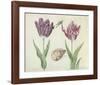 Two Tulips, a Shell and a Grasshopper, c. 1637-1645-Jacob Marrel-Framed Art Print