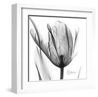 Two Tulips in Black and White-Albert Koetsier-Framed Art Print