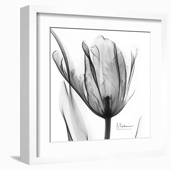 Two Tulips in Black and White-Albert Koetsier-Framed Art Print