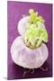 Two Turnips-Foodcollection-Mounted Photographic Print