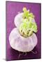 Two Turnips-Foodcollection-Mounted Photographic Print