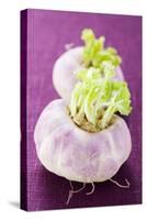 Two Turnips-Foodcollection-Stretched Canvas