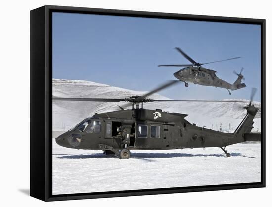 Two U.S. Army UH-60 Black Hawk Helicopters-Stocktrek Images-Framed Stretched Canvas