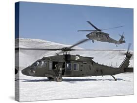 Two U.S. Army UH-60 Black Hawk Helicopters-Stocktrek Images-Stretched Canvas