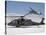 Two U.S. Army UH-60 Black Hawk Helicopters-Stocktrek Images-Stretched Canvas