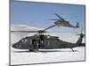Two U.S. Army UH-60 Black Hawk Helicopters-Stocktrek Images-Mounted Photographic Print