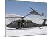 Two U.S. Army UH-60 Black Hawk Helicopters-Stocktrek Images-Mounted Photographic Print