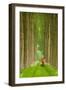 Two Umbrellas, Belgium-Alan Klug-Framed Photographic Print