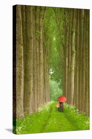 Two Umbrellas, Belgium-Alan Klug-Stretched Canvas