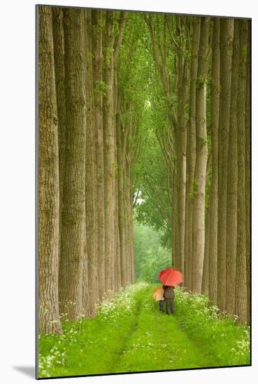 Two Umbrellas, Belgium-Alan Klug-Mounted Photographic Print