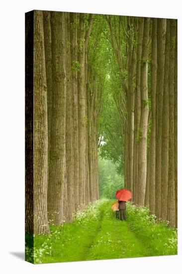 Two Umbrellas, Belgium-Alan Klug-Stretched Canvas