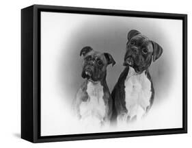 Two Unidentified Boxer Heads Slightly Tilted-Thomas Fall-Framed Stretched Canvas