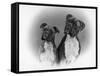 Two Unidentified Boxer Heads Slightly Tilted-Thomas Fall-Framed Stretched Canvas