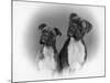 Two Unidentified Boxer Heads Slightly Tilted-Thomas Fall-Mounted Photographic Print