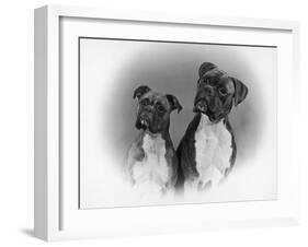 Two Unidentified Boxer Heads Slightly Tilted-Thomas Fall-Framed Photographic Print