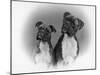 Two Unidentified Boxer Heads Slightly Tilted-Thomas Fall-Mounted Photographic Print