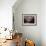 Two Unidentified Iranian Women Smoke a Water Pipe-null-Framed Photographic Print displayed on a wall