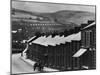 Two Up, Two Down, Row of Miner's Houses-Carl Mydans-Mounted Photographic Print