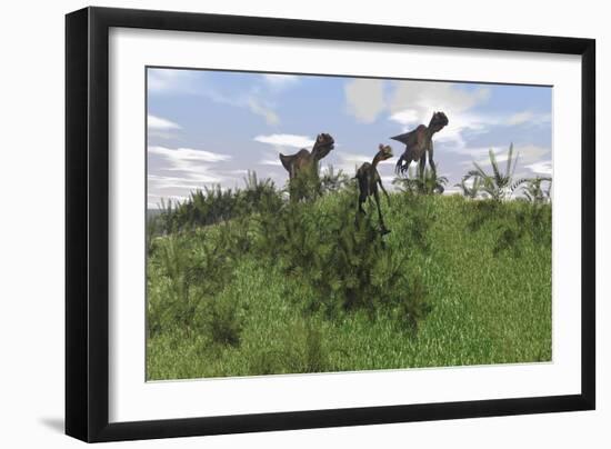 Two Utahraptors Chasing a Gigantoraptor across a Grassy Field-null-Framed Art Print