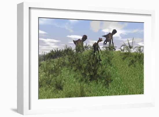 Two Utahraptors Chasing a Gigantoraptor across a Grassy Field-null-Framed Art Print